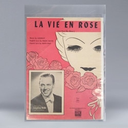 POLYESTER (Mylar) Sleeve 2mil with